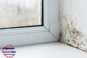 How To Prevent Mold And Mildew In Your Bathroom