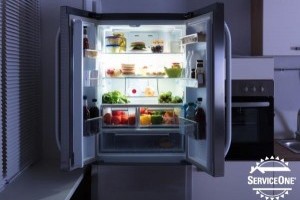 What To Do If Your Refrigerator / Freezer Stops Working