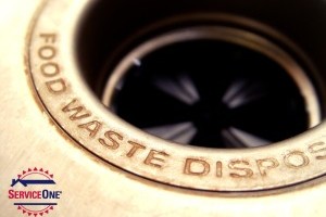 Common Garbage Disposal Issues